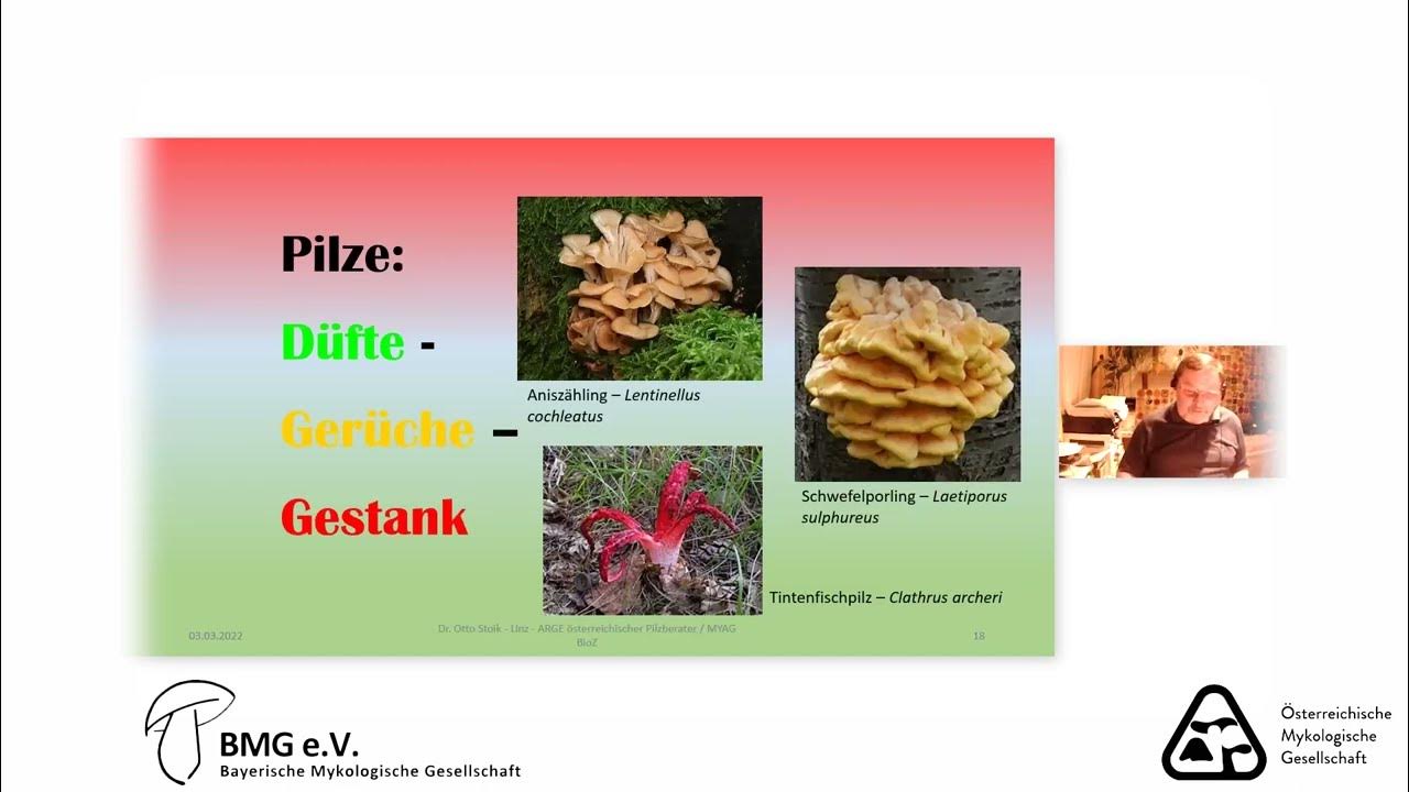 Pilzvortrag Otto Stoik Wie Pilze riechen YouTube