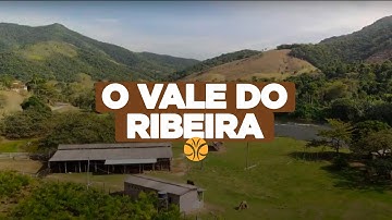 A luta pela Mata Atlântica: Conservação no Vale do Ribeira | The Fight for the Atlantic Forest