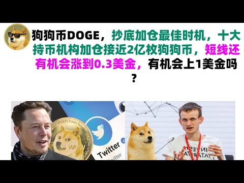 狗狗币DOGE，抄底加仓最佳时机，十大持币机构加仓接近2亿枚狗狗币，短线还有机会涨到0.3美金，有机会上1美金吗？马斯克狗狗币|DOGE行情分析!