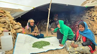 A Mother and Her Children Fighting to Survive in the Zagros Mountains 💔🏔️