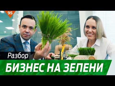 Разбор - Бизнес на зелени
