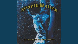 Watch World Below Gatherings In The Forest video