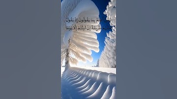 آيات عطرة من سورة طه َمن الآية 102 إلى الآية  107 بصوت يملأه الخشوع