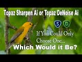 TOPAZ SHARPEN AI or TOPAZ DENOISE AI: If You Could Only Choose One...Which Would It Be?