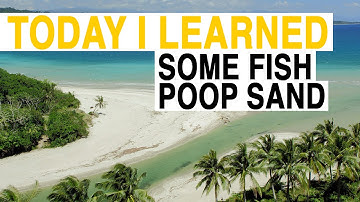 TIL: These White Sand Beaches Aren’t What You Think | Today I Learned