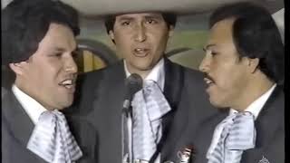 Video thumbnail of "Mariachi Los Galleros de Pedro Rey- Popurri de Huapangos"