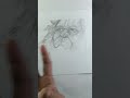 Live Hanuman Ji Sketching 🚩