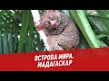 Острова мира. Мадагаскар - Хочу всё знать