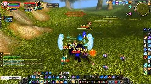 5.4 Frost Mage One Shot Macro/Usage