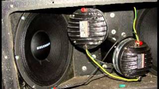 Line Array 'MESLENIUM' por dentro.