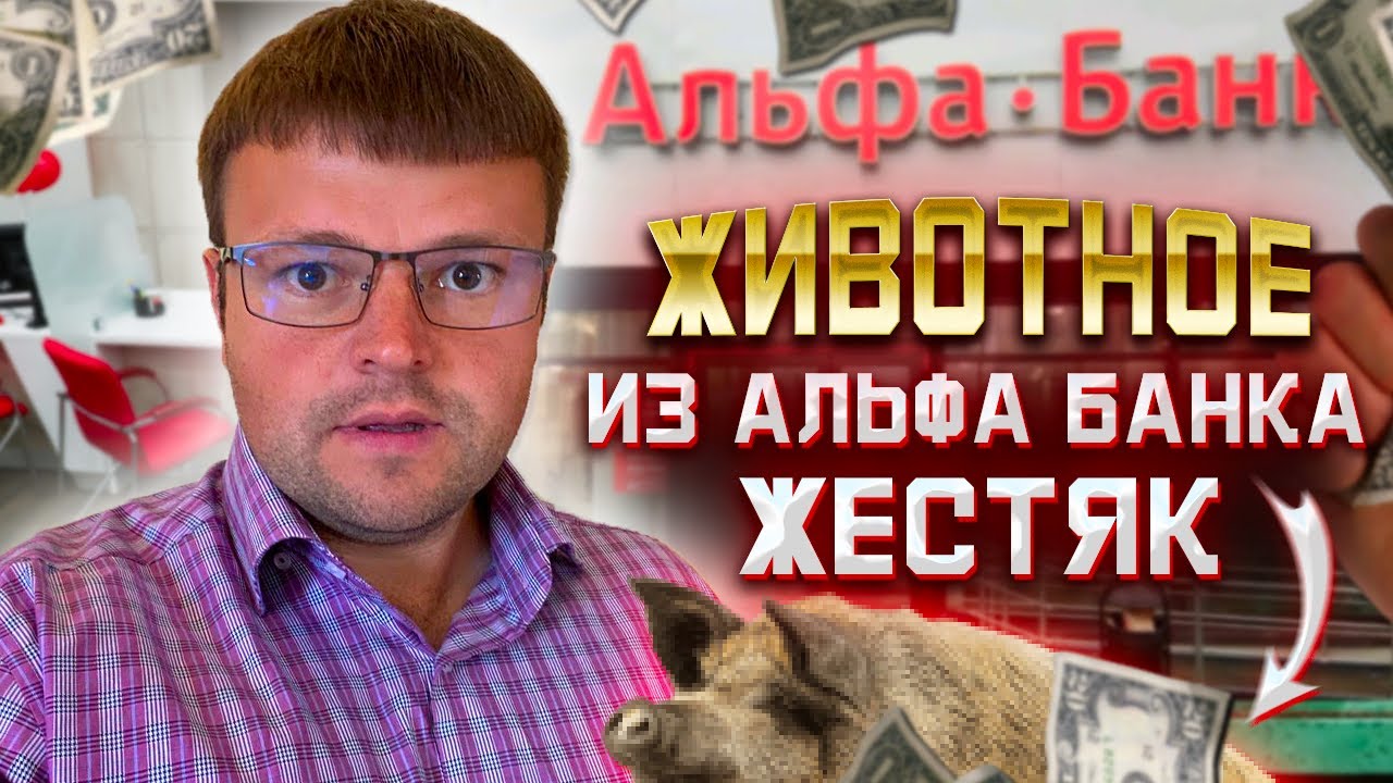 Мфц банкротство физического. Взыскатель Альфа банка без моральных ...