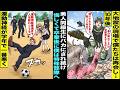 【漫画】運動神経が学年で一番悪い僕をバカにする美人同級生…僕は悔しくて卒業と同時に特殊部隊に所属することに→10年後、大地震で救助に向かったらあの時の美人同級生が4にかけてたが・・・【スカッと】
