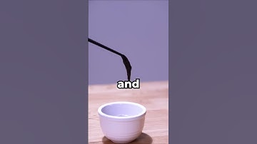 How Do I Feed Baby Axolotls?🦎