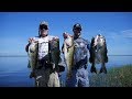 Lake Toho summer fishing 24lb MEGA BAG!