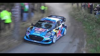 Central European Rally 2023 WRC | M-Sport and Hyundai Pre-Event Test | Tanak, Fourmaux and Suninen