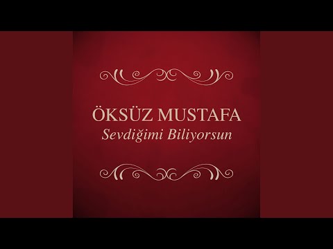 Bilmiyorsun Sevildiğini