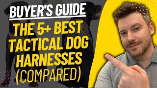 TOP 5 BEST TACTICAL DOG HARNESSES  Best Tactical Dog Harness Review (2023)