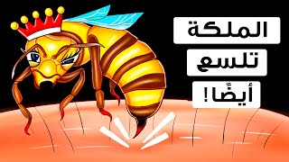 لماذا يمكن أن تكون لدغة ملكة النحل أكثر خطورة؟ البقاء في حالة تأهب