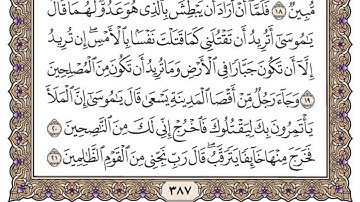 سورة القصص مكتوبة / محمد أيوب