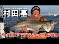 東京湾ボートシーバスゲーム