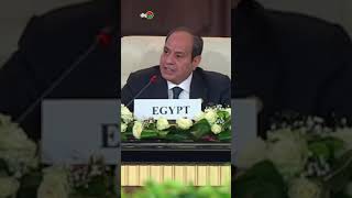 السيسي: مصر دفعت ثمنا هائلا من أجل السلام في المنطقة