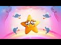 ZIG e SHARKO ⭐ A estrela da Marina ⭐ Português Brasil | Cartoon for Kids