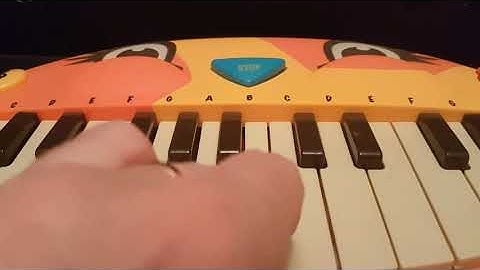 Improv 349: Cat in an Old Tin Can (B Meowsic keyboard and Schoenhut toy piano)