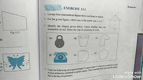 Ch-13 symmetry Ex-13.1 and Ex-13.2