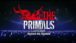 THE PRIMALS Live in Japan - Beyond the Shadow ライブ告知PV