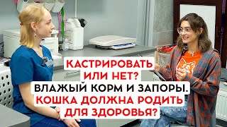 Интервью с ветеринарным врачом нефрологом. Стерилизация. Прививки. Корма. Болезни кошек и собак.