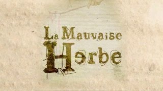 Miniatura de "SOIRÉE CONCERT - LA MAUVAISE HERBE + LE COLLECTIF HAUT LES MOTS AU PAX LE 12/12/15 [TRIPLE FACE]"