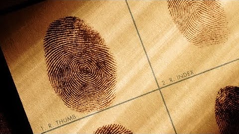 Fingerprint Fallacy Exposed! AI Reveals the Truth | AI News.