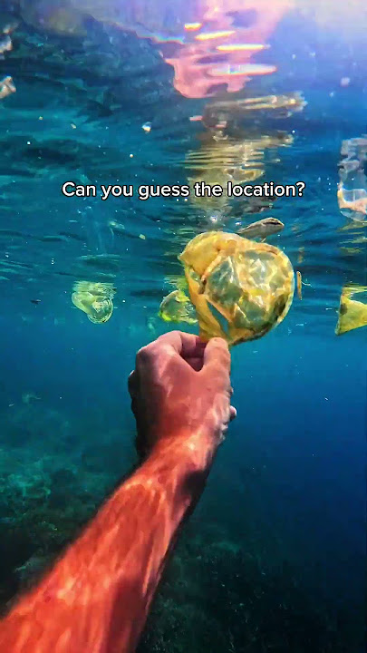 It's shocking what you can find in the ocean.. #oceans #sea