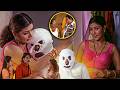 Aavida Maa Avide Movie Brahmanandam Climax Comedy | Nagarjuna, Tabu | Aavida Maa Aavide | IDream