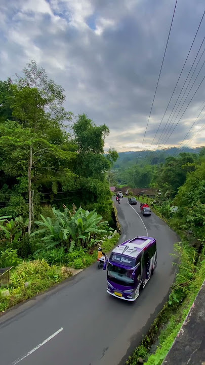 Susana pagi hari berangkat beraktifitas #pagi #pedesaan #jalan #banjarnegara #keindahanalam