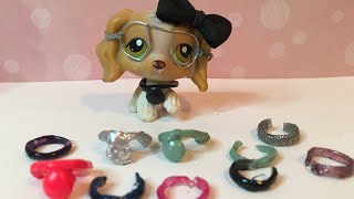 How to make LPS Accessories: LPS House 