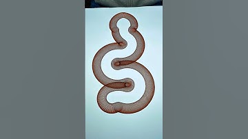 Woow… a follow that few can achieve #spirographshr #satisfying #asmr #spirograph #art #instagram