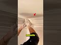 La forma MÁS FÁCIL de hacer cornisas y nadie la conocía 🎨👷🏻♂️