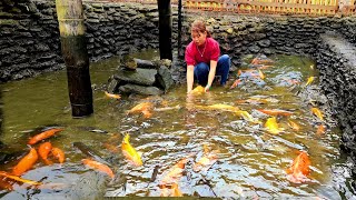 Drain water and wash fish ponds | for fish to mate and reproduce - Phùng Thị Chài