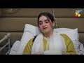 Faryal Ki Tang Toat Gayi, Ab Kia Kary Gi Bechari...! #minsamalik #nabeelzuberi - Hadd - HUM TV