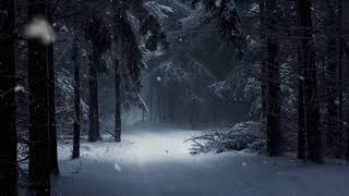 Снегопад В Ночном В Лесу Под Пианино.  Beautiful Music On The Piano.