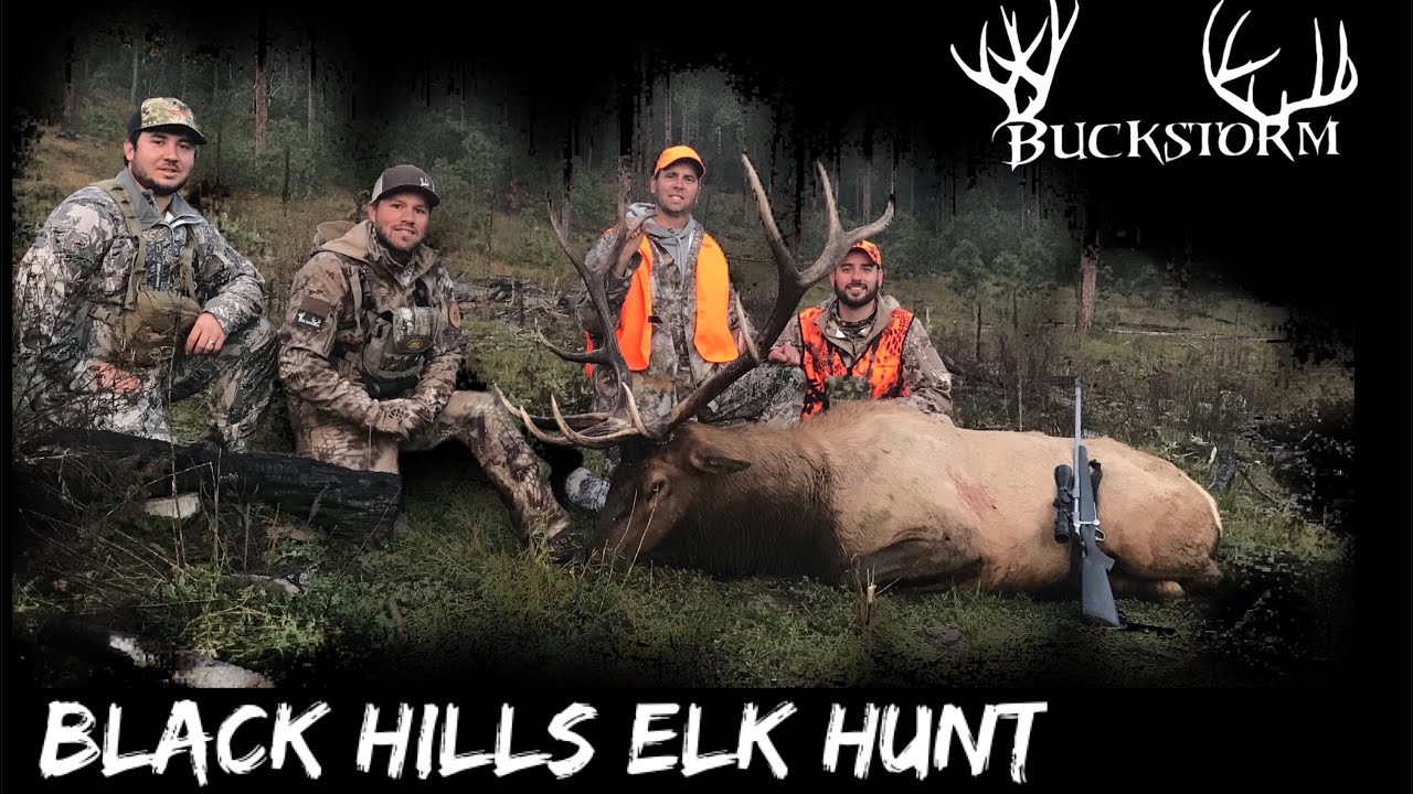 Black Hills Rifle Elk Hunt South Dakota YouTube