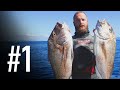 Crazy Snapper Spearfishing in NEW ZEALAND - NZ SPEARFISHING DIARIES | PART ONE