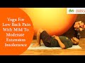 Yoga for low back pain with mild to moderate extension intolerance by avn arogya wwwavnarogyain