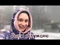 РЫСЬКИ В ТУМАНЕ