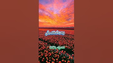 سورة مريم الاية  {  4  /  3 }