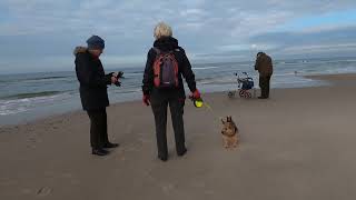 Skagen  nov 2021. Den gamle mand og Havet