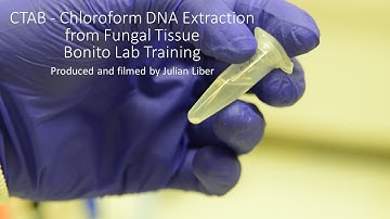 CTAB - Chloroform DNA Extraction from Fungal Tissue - Bonito Lab Training