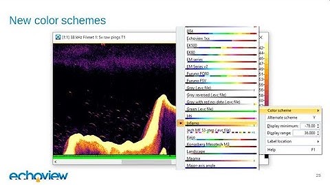 How to use the new features in Echoview 11 (webinar recording)