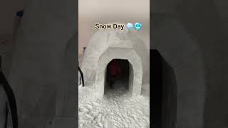 Snow Day🌨️🥶#snowland#snowlove#snowstorm#snowfall#trending_status#trendingvideo#trendingshorts